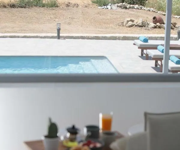 Villa Naxos Infinity And Galanado