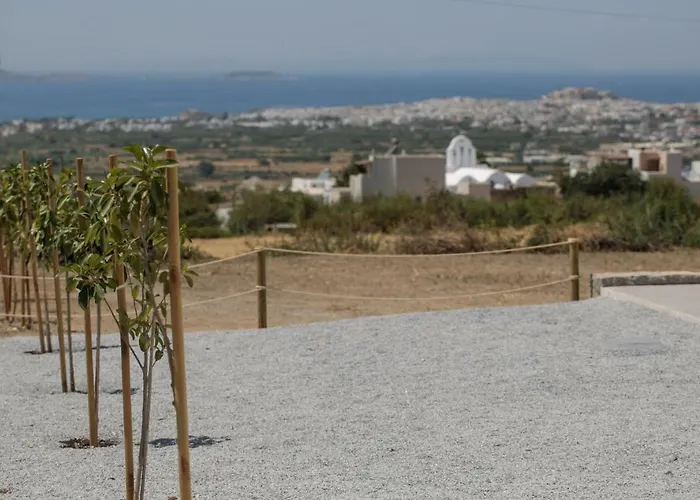 Naxos Infinity And Villa *